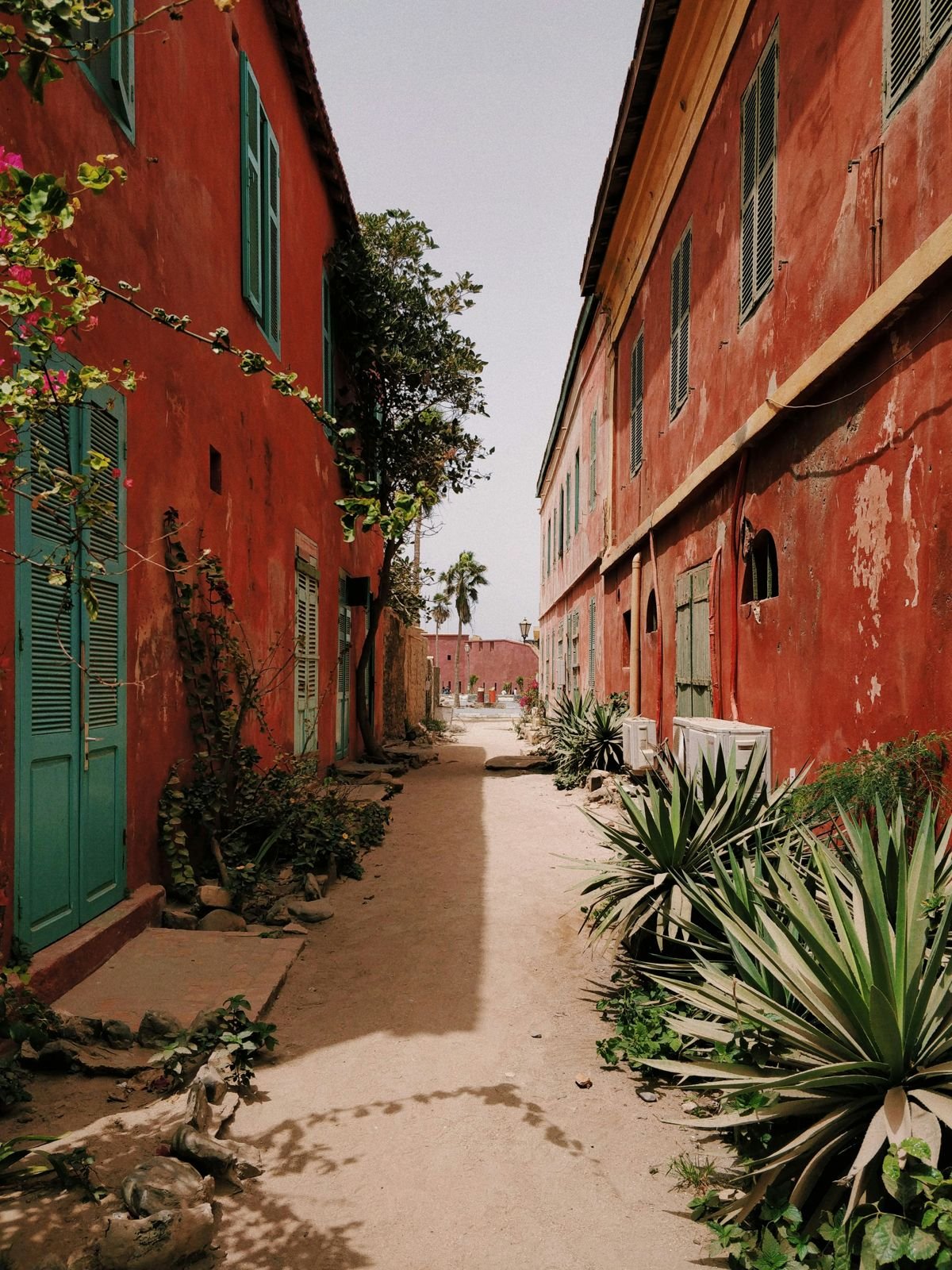 An alley of red houses on Gorée