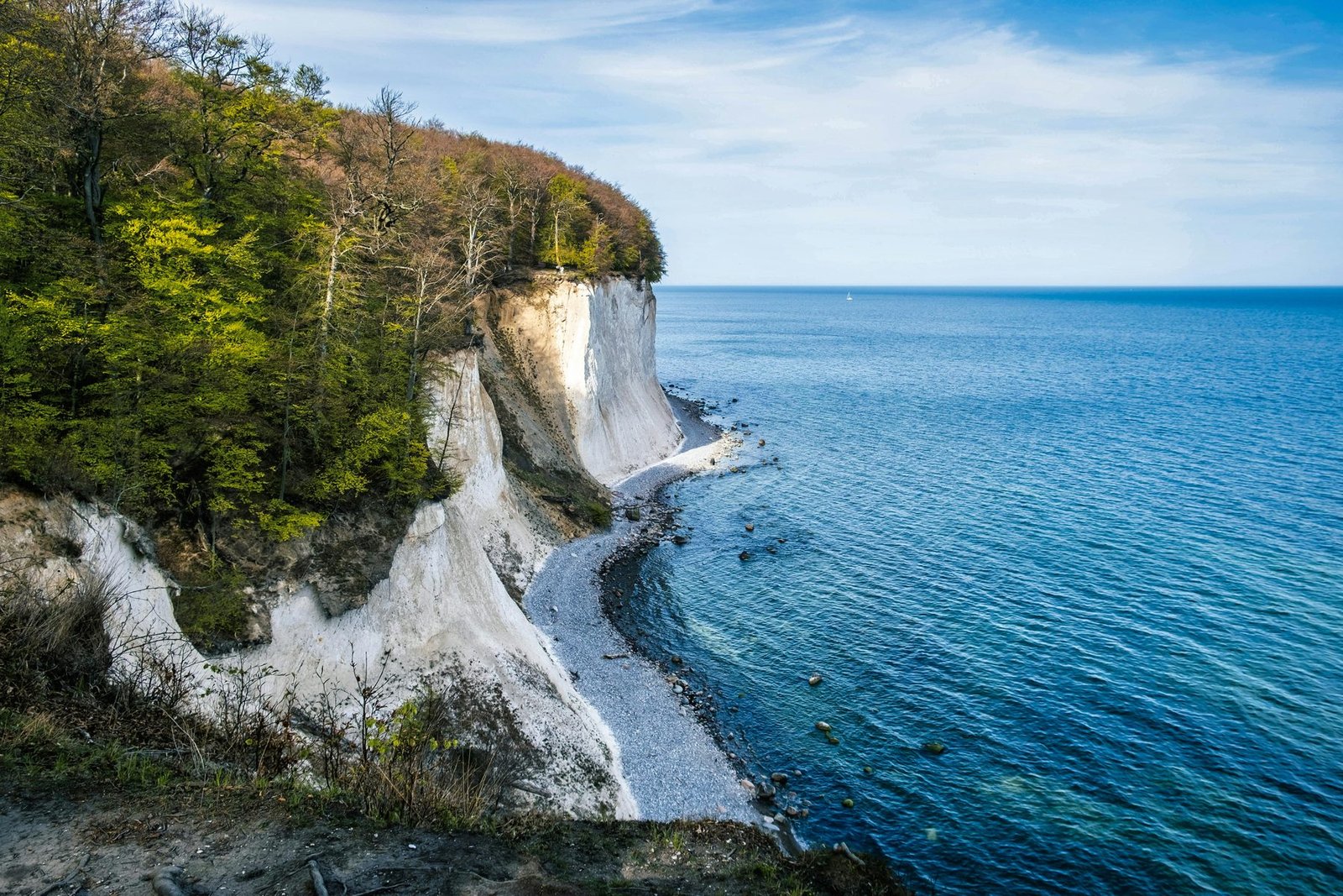 White chalk cliffs topped with beech forest fall to a narrow beach and blue sea