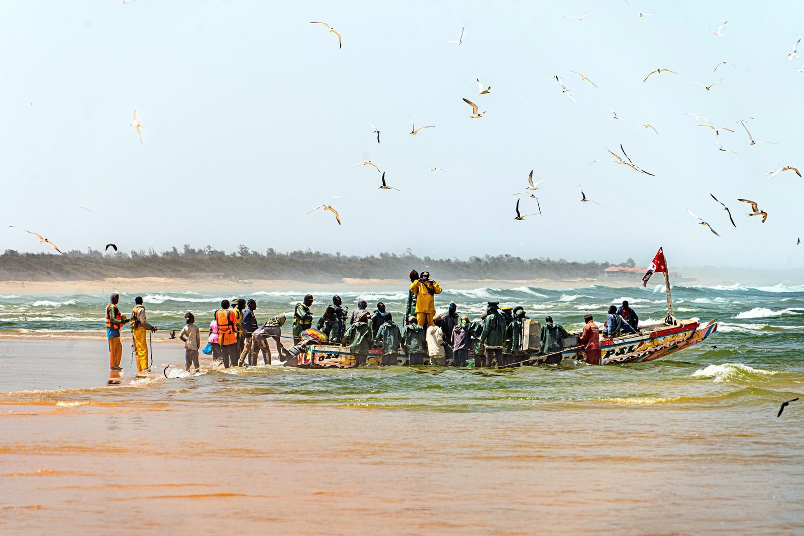 A crowd of fishermen stand in shallow surf around a long painted boat while gulls circle overhead