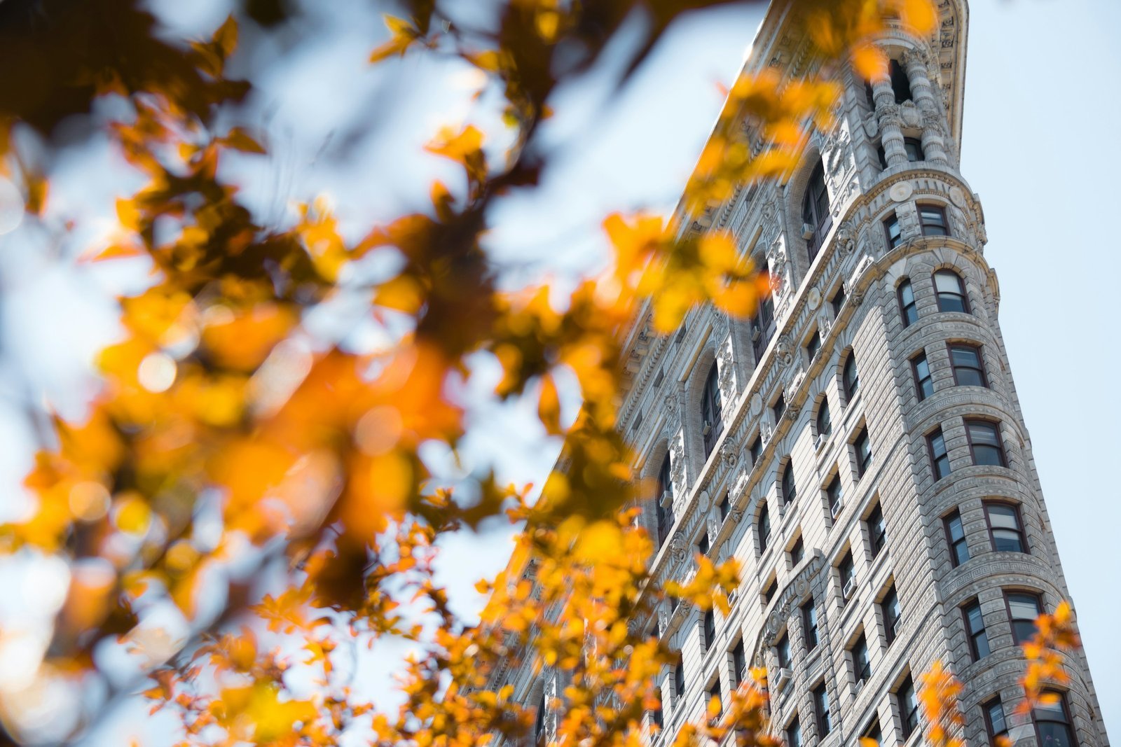 The Flatiron Building seen through autumn leaves